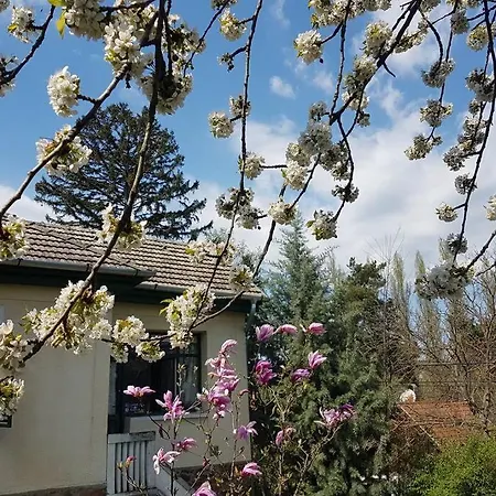 Sine Cura Nyaralo Apartmán Ábrahámhegy