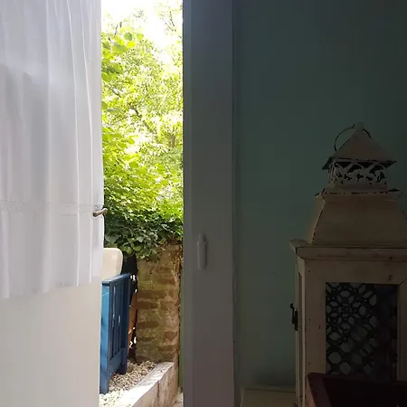 Sine Cura Nyaralo *