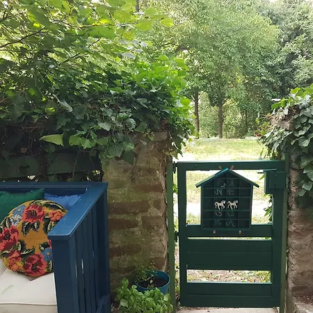 Sine Cura Nyaralo 아파트 *